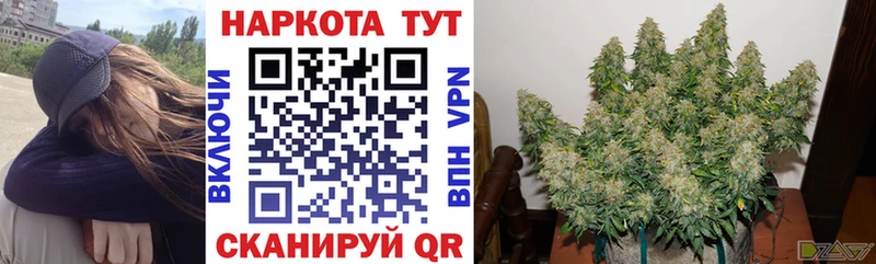 Виды наркоты Нестеров Alpha-PVP  Кокаин  Меф  АМФЕТАМИН  Каннабис 