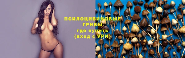 наркотики Белокуриха