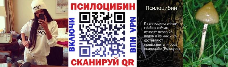 купить  цена  hydra   Псилоцибиновые грибы GOLDEN TEACHER  Нестеров 